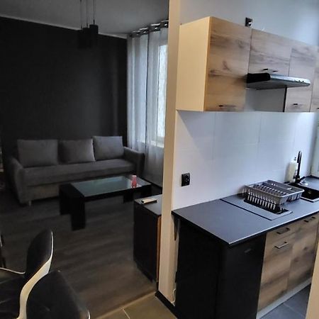 Appartement Apartament Pod Wieza à Piotrków Trybunalski Extérieur photo
