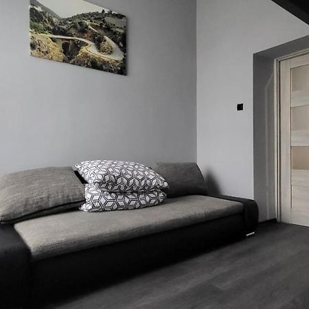 Appartement Apartament Pod Wieza à Piotrków Trybunalski Extérieur photo