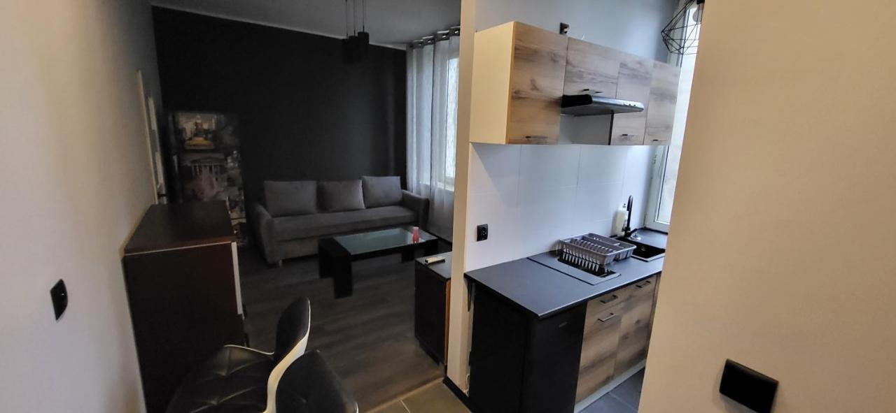 Appartement Apartament Pod Wieza à Piotrków Trybunalski Extérieur photo
